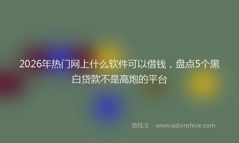 2026年热门网上什么软件可以借钱,盘点5个黑白贷款不是高炮的平台