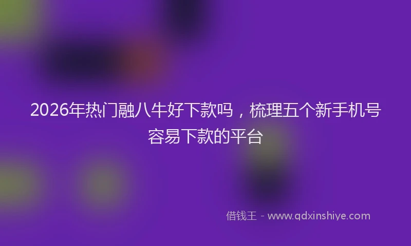 2026年热门融八牛好下款吗，梳理五个新手机号容易下款的平台