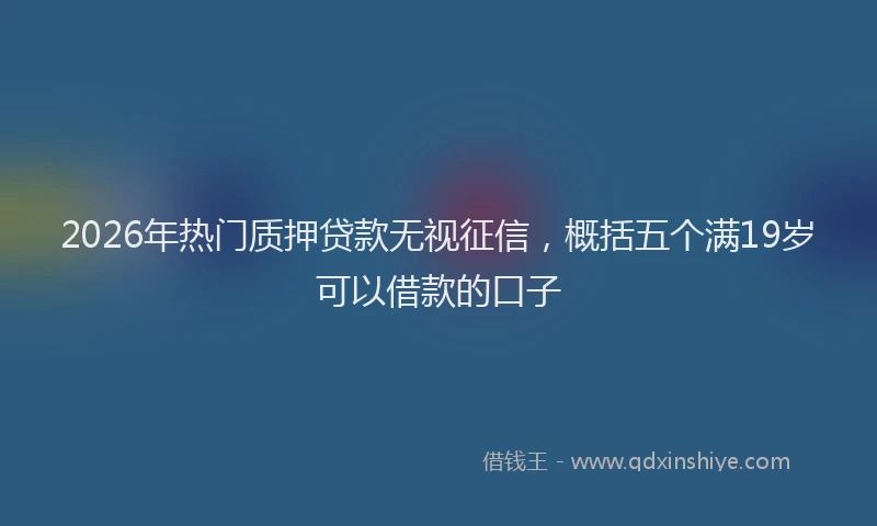 2026年热门质押贷款无视征信，概括五个满19岁可以借款的口子