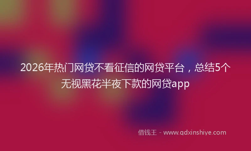2026年热门网贷不看征信的网贷平台,总结5个无视黑花半夜下款的网贷app