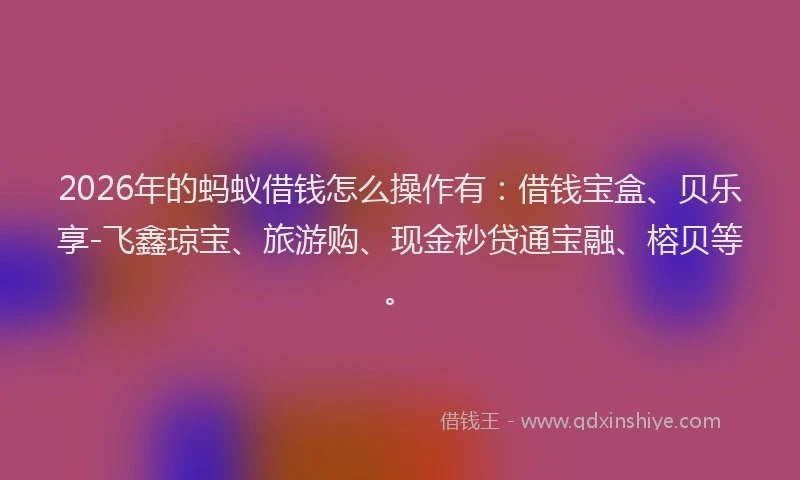 2026年的蚂蚁借钱怎么操作有：借钱宝盒、贝乐享-飞鑫琼宝、旅游购、现金秒贷通宝融、榕贝等。