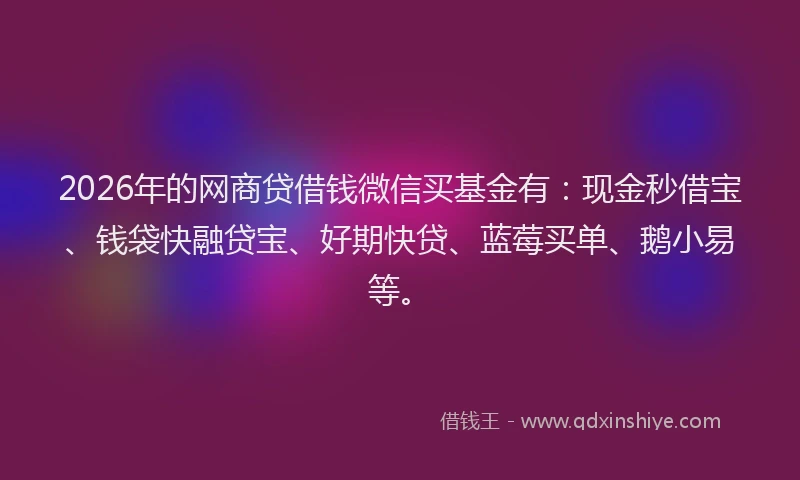 2026年的网商贷借钱微信买基金有：现金秒借宝、钱袋快融贷宝、好期快贷、蓝莓买单、鹅小易等。