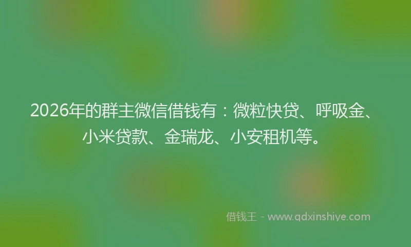 2026年的群主微信借钱有：微粒快贷、呼吸金、小米贷款、金瑞龙、小安租机等。