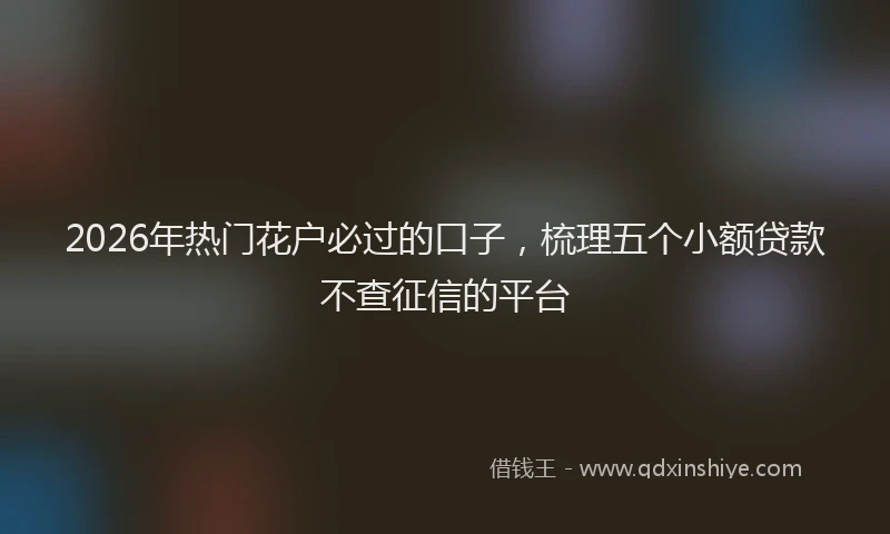 2026年热门花户必过的口子，梳理五个小额贷款不查征信的平台