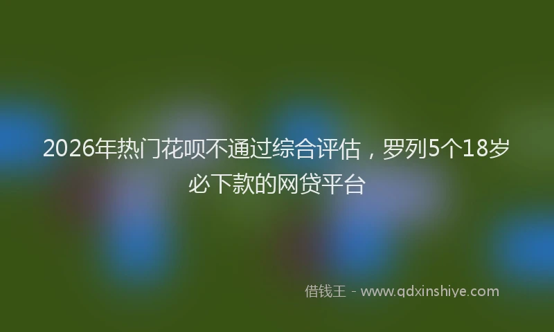 2026年热门花呗不通过综合评估，罗列5个18岁必下款的网贷平台