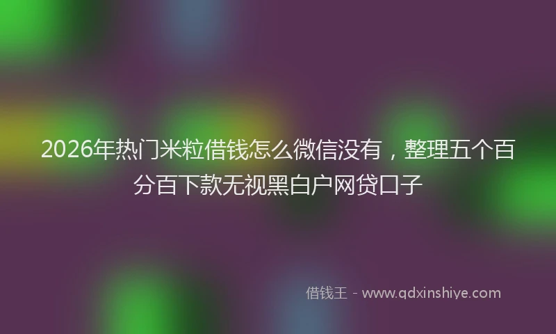 2026年热门米粒借钱怎么微信没有，整理五个百分百下款无视黑白户网贷口子