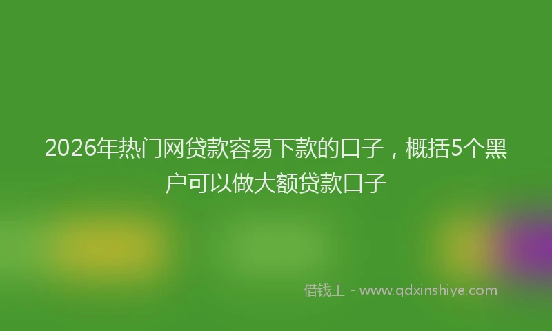 2026年热门网贷款容易下款的口子,概括5个黑户可以做大额贷款口子