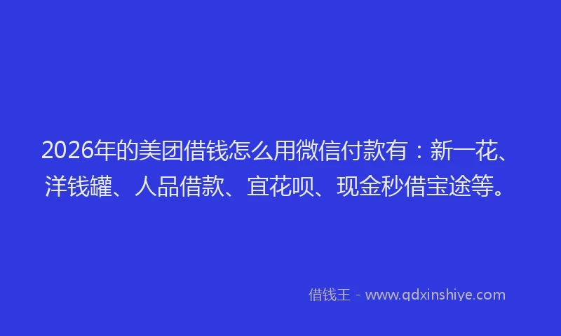 2026年的美团借钱怎么用微信付款有:新一花、洋钱罐、人品借款、宜花呗、现金秒借宝途等。