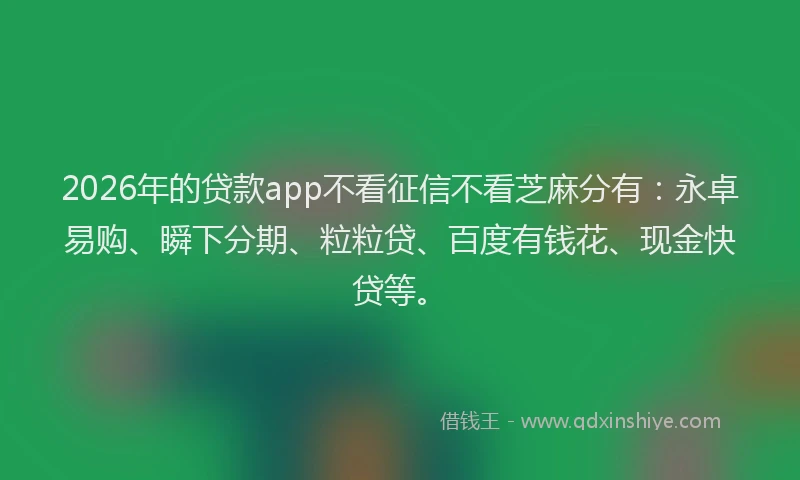 2026年的贷款app不看征信不看芝麻分有:永卓易购、瞬下分期、粒粒贷、百度有钱花、现金快贷等。