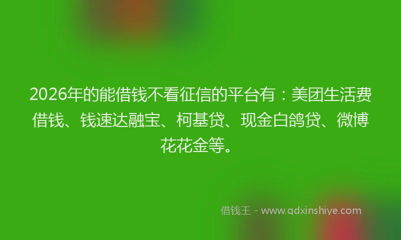 2026年的能借钱不看征信的平台有：美团生活费借钱、钱速达融宝、柯基贷、现金白鸽贷、微博花花金等。