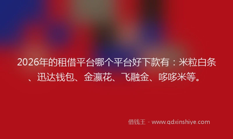 2026年的租借平台哪个平台好下款有：米粒白条、迅达钱包、金瀛花、飞融金、哆哆米等。