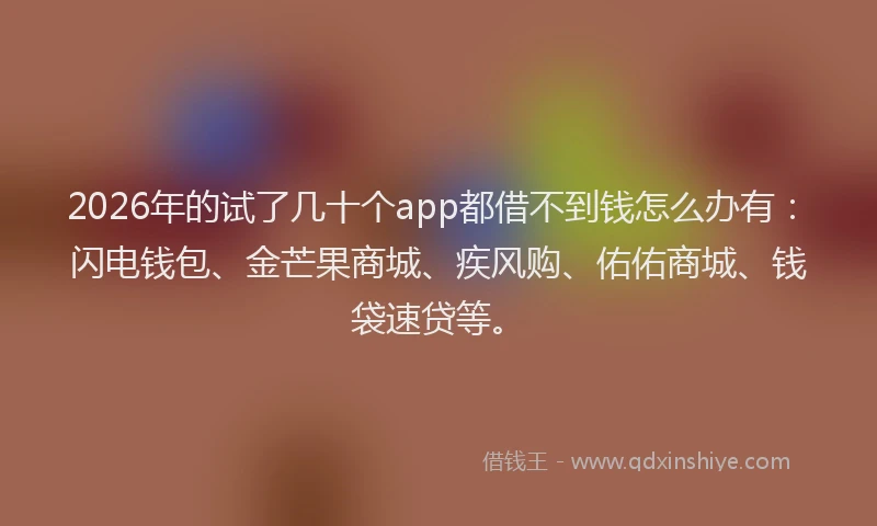 2026年的试了几十个app都借不到钱怎么办有：闪电钱包、金芒果商城、疾风购、佑佑商城、钱袋速贷等。