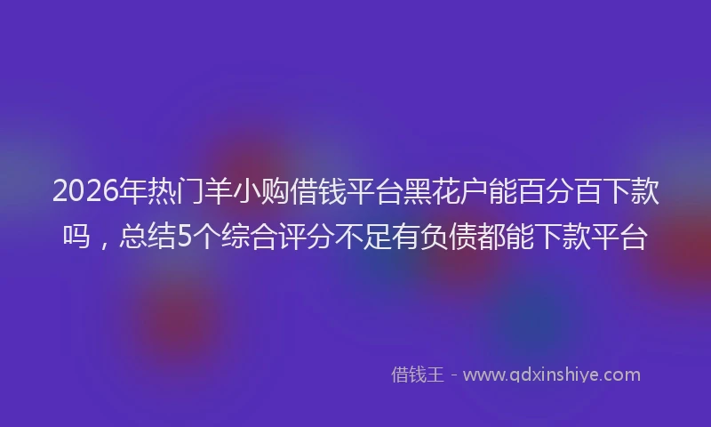 2026年热门羊小购借钱平台黑花户能百分百下款吗，总结5个综合评分不足有负债都能下款平台