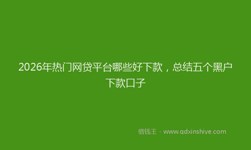 2026年热门网贷平台哪些好下款，总结五个黑户下款口子