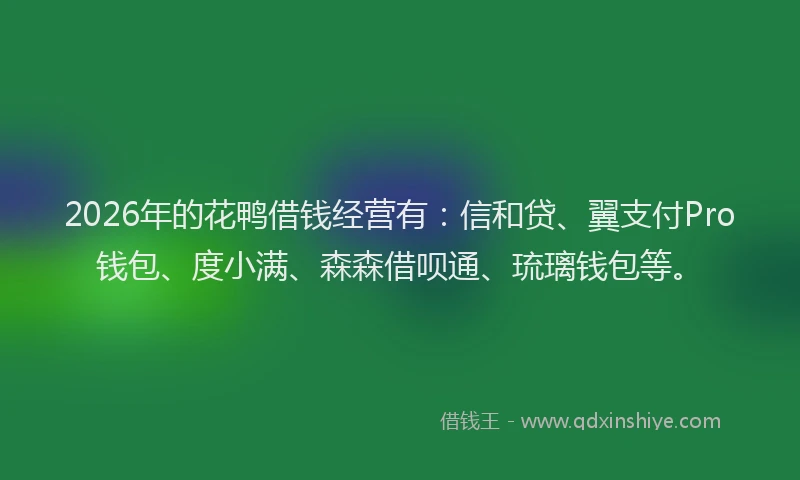 2026年的花鸭借钱经营有：信和贷、翼支付Pro钱包、度小满、森森借呗通、琉璃钱包等。