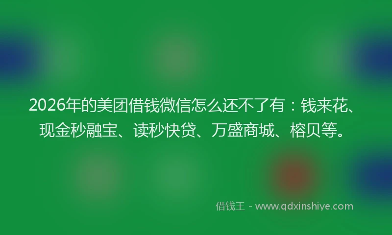 2026年的美团借钱微信怎么还不了有：钱来花、现金秒融宝、读秒快贷、万盛商城、榕贝等。