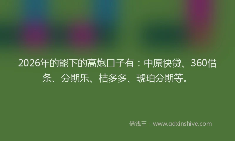 2026年的能下的高炮口子有:中原快贷、360借条、分期乐、桔多多、琥珀分期等。