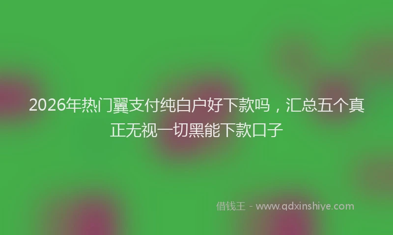 2026年热门翼支付纯白户好下款吗,汇总五个真正无视一切黑能下款口子