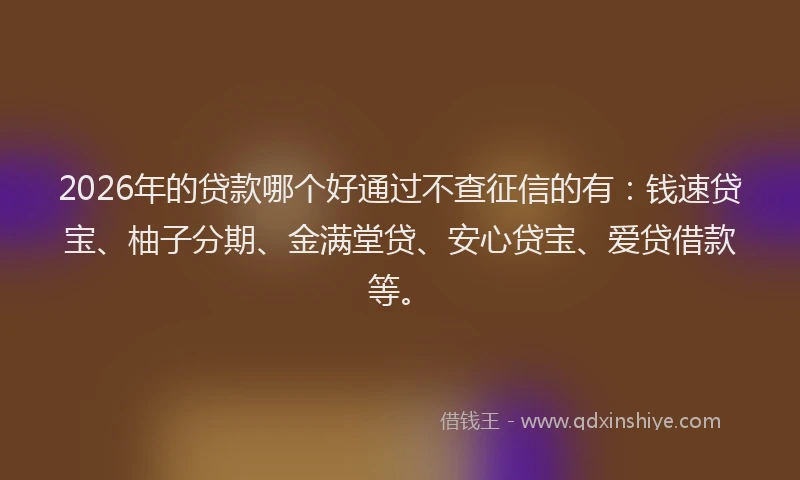 2026年的贷款哪个好通过不查征信的有：钱速贷宝、柚子分期、金满堂贷、安心贷宝、爱贷借款等。