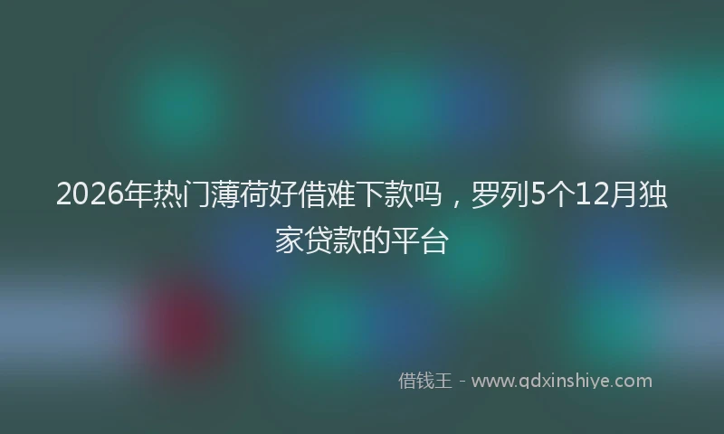 2026年热门薄荷好借难下款吗，罗列5个12月独家贷款的平台