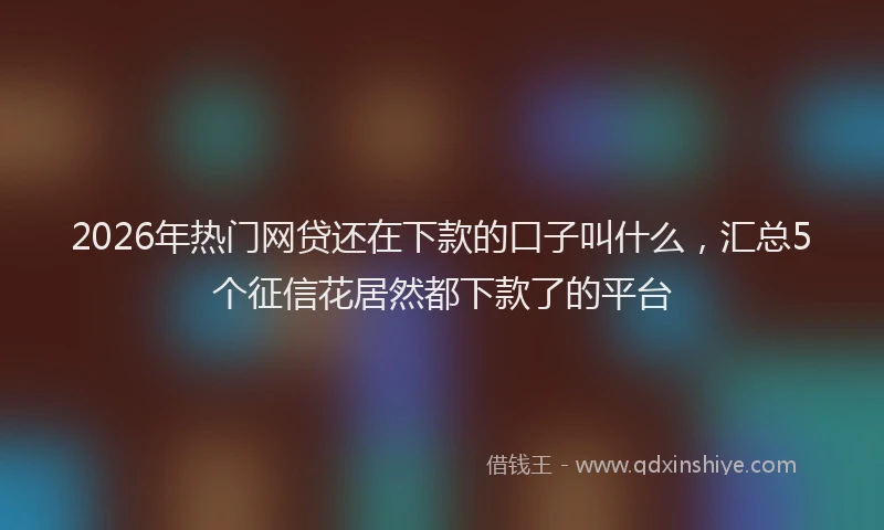 2026年热门网贷还在下款的口子叫什么，汇总5个征信花居然都下款了的平台