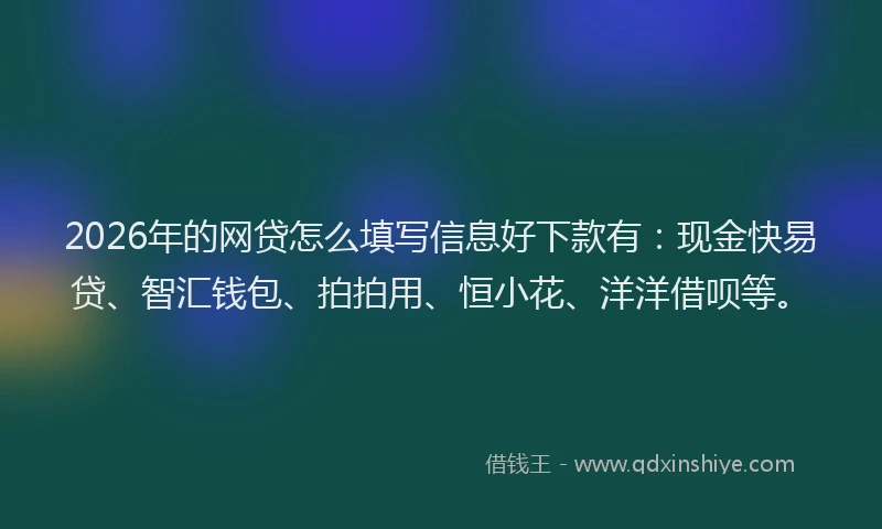 2026年的网贷怎么填写信息好下款有:现金快易贷、智汇钱包、拍拍用、恒小花、洋洋借呗等。