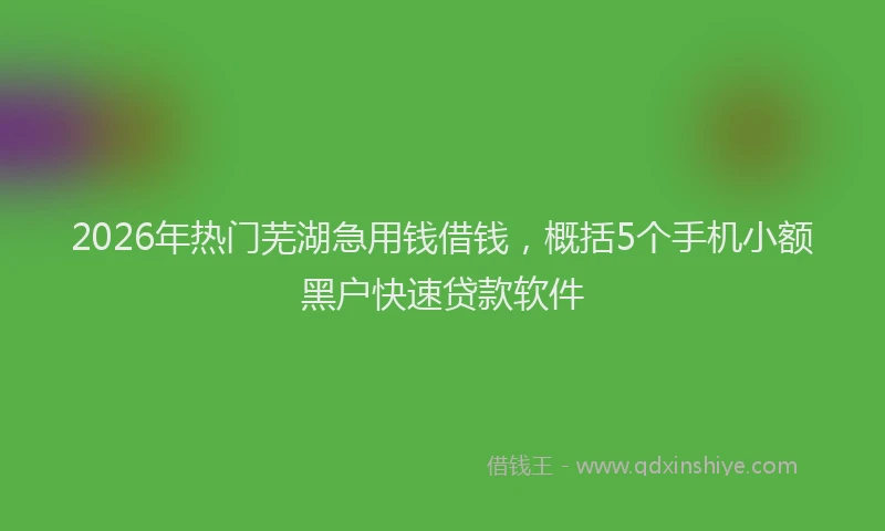 2026年热门芜湖急用钱借钱，概括5个手机小额黑户快速贷款软件