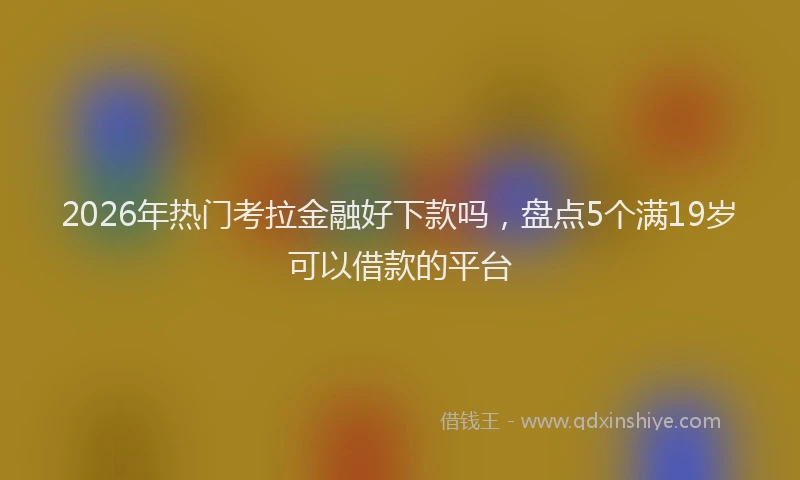 2026年热门考拉金融好下款吗，盘点5个满19岁可以借款的平台