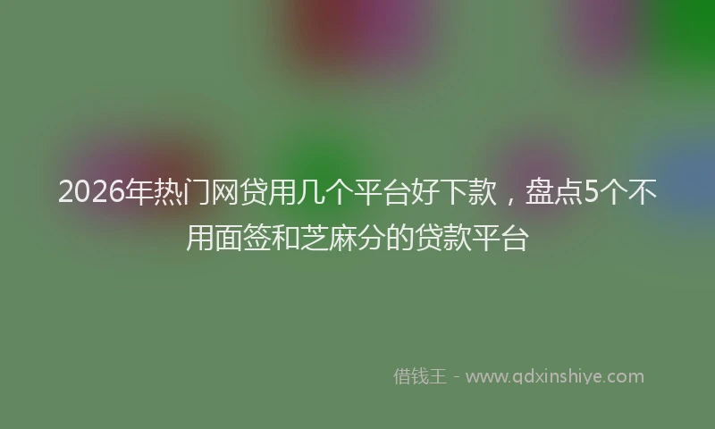 2026年热门网贷用几个平台好下款，盘点5个不用面签和芝麻分的贷款平台