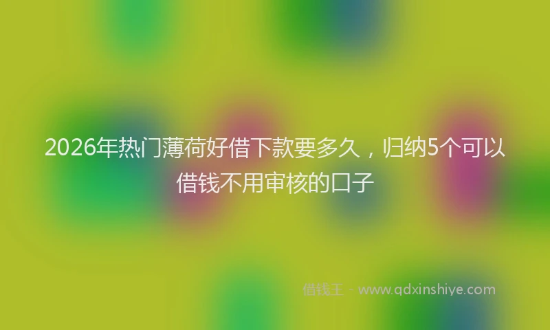 2026年热门薄荷好借下款要多久，归纳5个可以借钱不用审核的口子