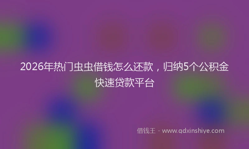 2026年热门虫虫借钱怎么还款，归纳5个公积金快速贷款平台