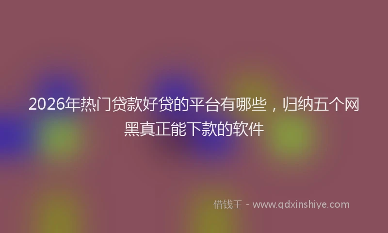 2026年热门贷款好贷的平台有哪些，归纳五个网黑真正能下款的软件