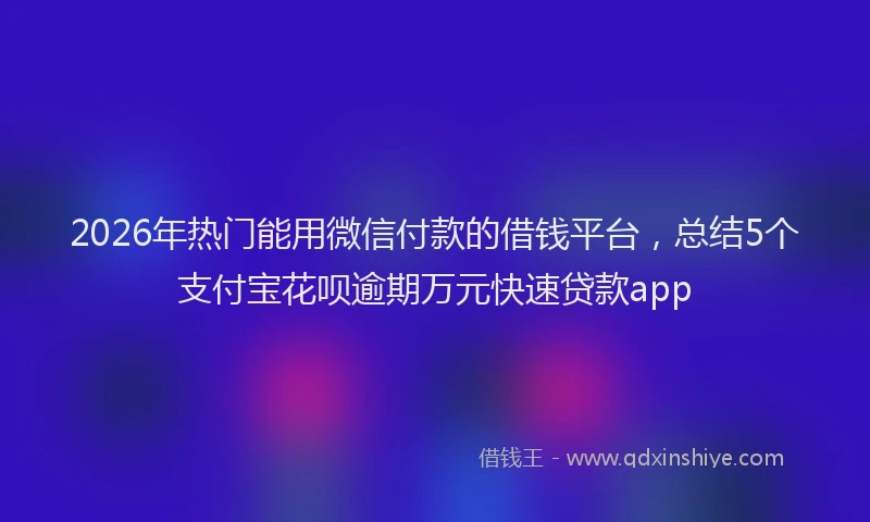 2026年热门能用微信付款的借钱平台，总结5个支付宝花呗逾期万元快速贷款app