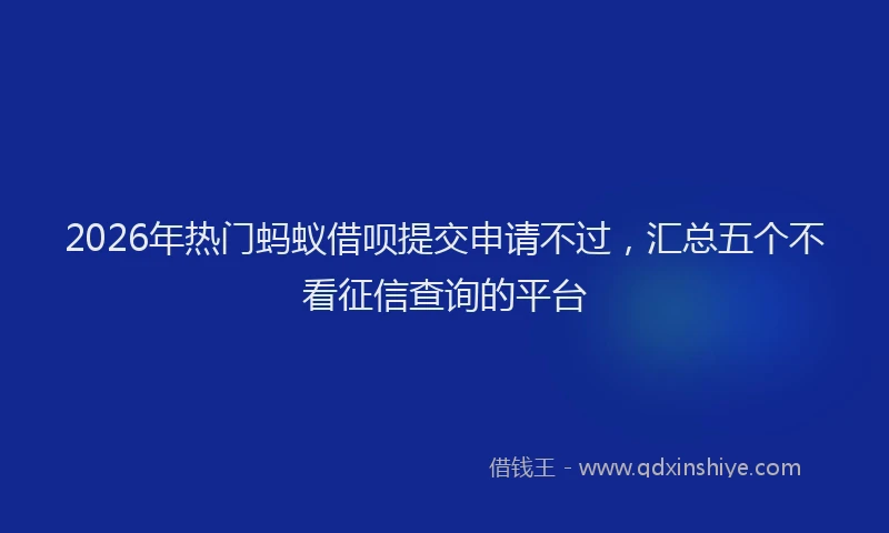 2026年热门蚂蚁借呗提交申请不过，汇总五个不看征信查询的平台