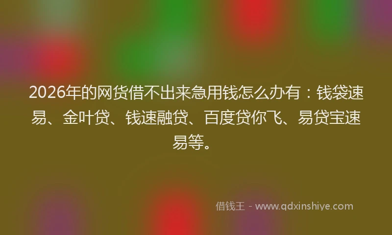 2026年的网货借不出来急用钱怎么办有：钱袋速易、金叶贷、钱速融贷、百度贷你飞、易贷宝速易等。