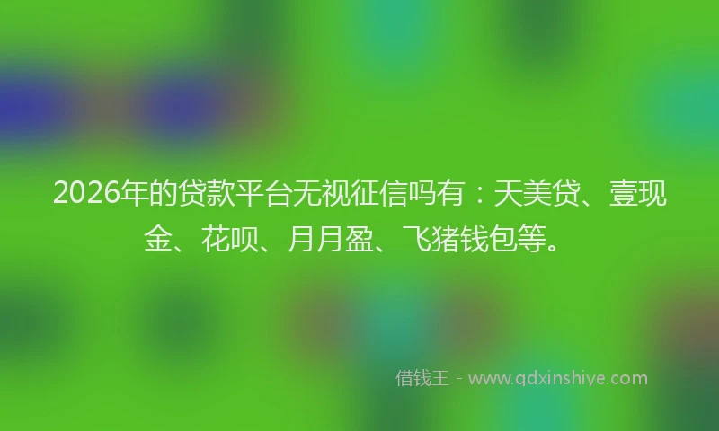 2026年的贷款平台无视征信吗有：天美贷、壹现金、花呗、月月盈、飞猪钱包等。