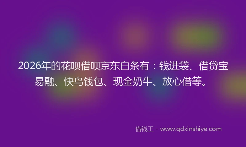 2026年的花呗借呗京东白条有：钱进袋、借贷宝易融、快鸟钱包、现金奶牛、放心借等。