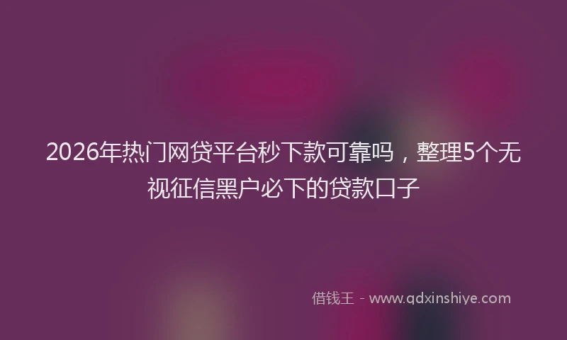 2026年热门网贷平台秒下款可靠吗，整理5个无视征信黑户必下的贷款口子