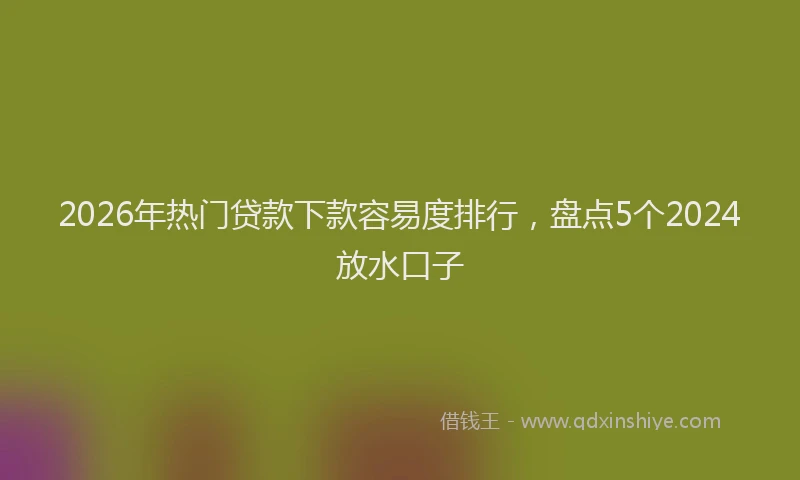 2026年热门贷款下款容易度排行，盘点5个2024放水口子