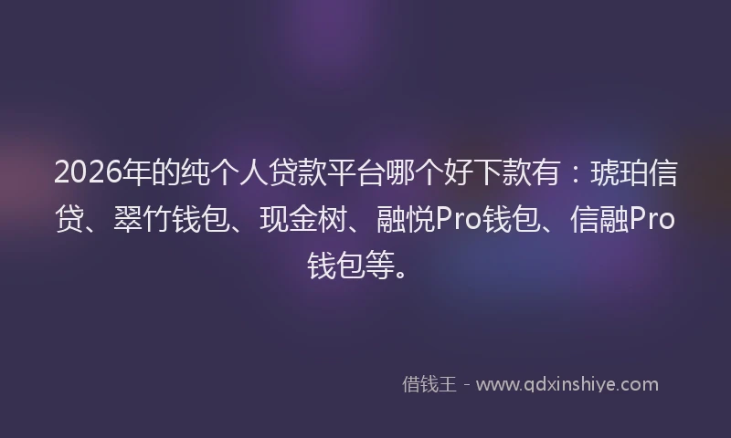2026年的纯个人贷款平台哪个好下款有：琥珀信贷、翠竹钱包、现金树、融悦Pro钱包、信融Pro钱包等。