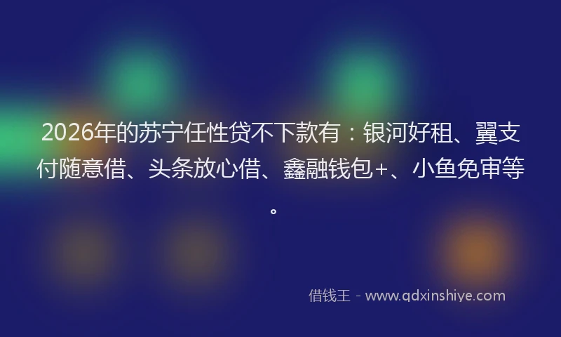 2026年的苏宁任性贷不下款有:银河好租、翼支付随意借、头条放心借、鑫融钱包+、小鱼免审等。