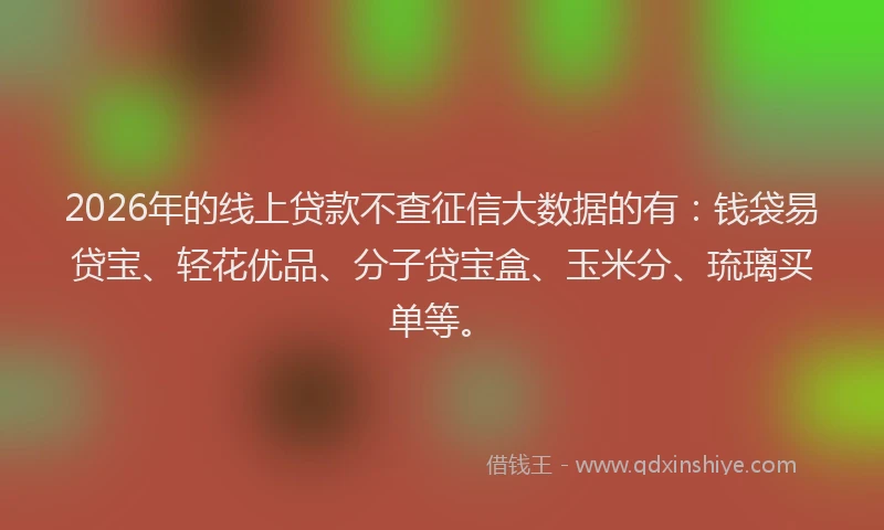 2026年的线上贷款不查征信大数据的有：钱袋易贷宝、轻花优品、分子贷宝盒、玉米分、琉璃买单等。