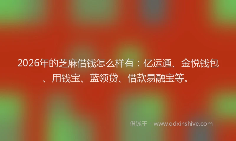 2026年的芝麻借钱怎么样有：亿运通、金悦钱包、用钱宝、蓝领贷、借款易融宝等。