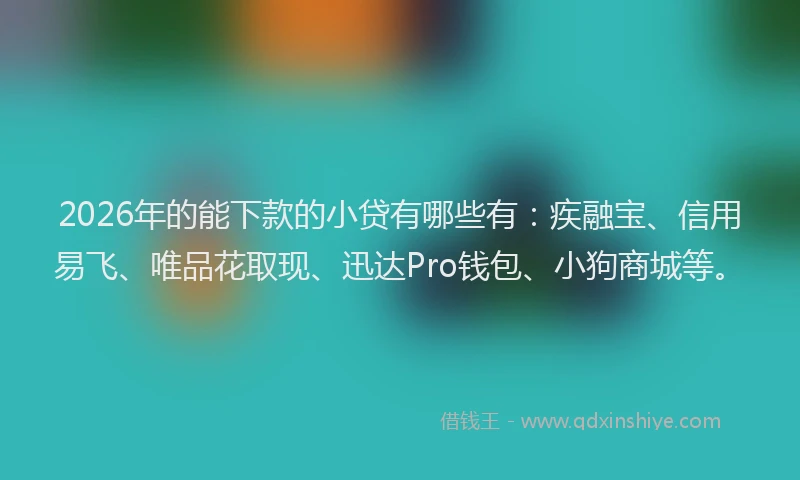 2026年的能下款的小贷有哪些有：疾融宝、信用易飞、唯品花取现、迅达Pro钱包、小狗商城等。
