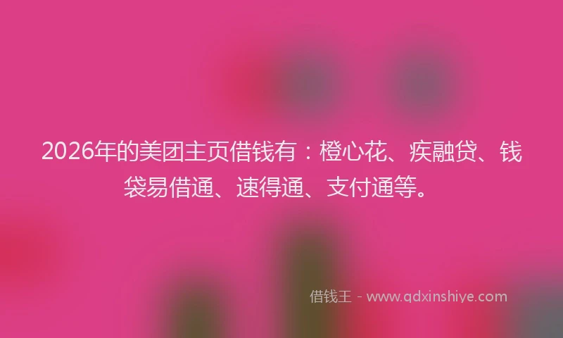 2026年的美团主页借钱有：橙心花、疾融贷、钱袋易借通、速得通、支付通等。