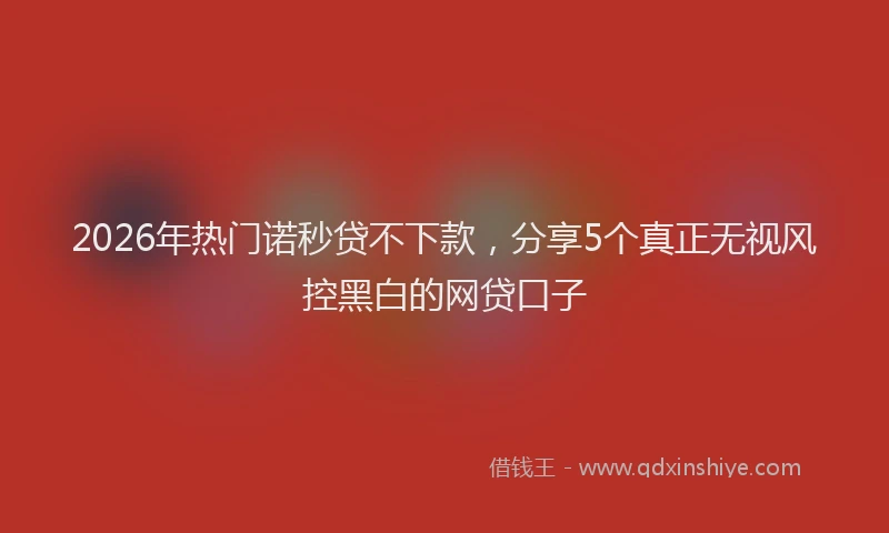 2026年热门诺秒贷不下款,分享5个真正无视风控黑白的网贷口子