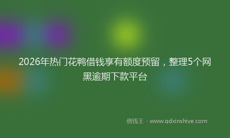 2026年热门花鸭借钱享有额度预留，整理5个网黑逾期下款平台