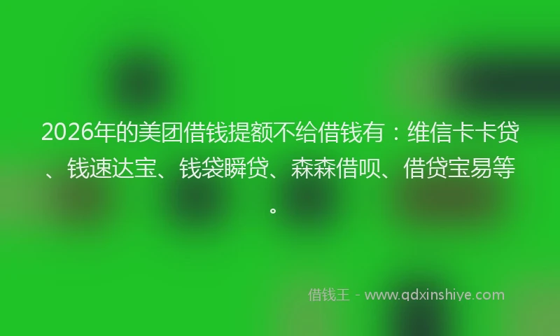 2026年的美团借钱提额不给借钱有:维信卡卡贷、钱速达宝、钱袋瞬贷、森森借呗、借贷宝易等。