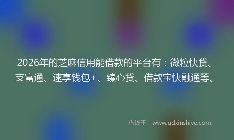 2026年的芝麻信用能借款的平台有：微粒快贷、支富通、速享钱包+、臻心贷、借款宝快融通等。