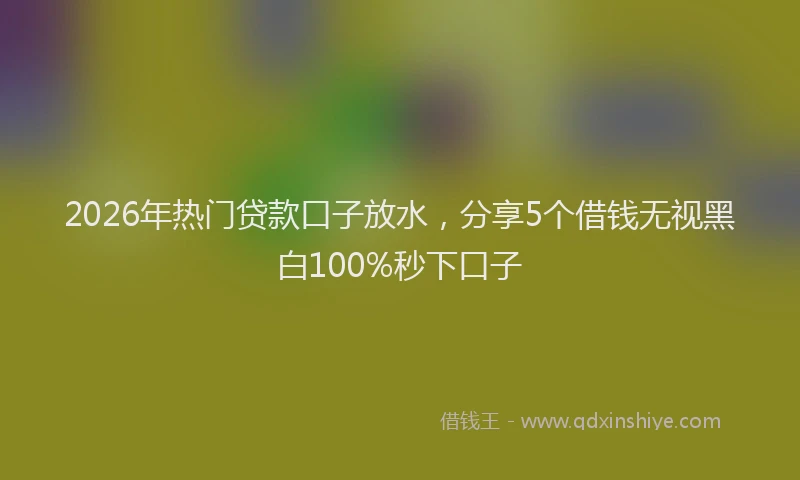 2026年热门贷款口子放水，分享5个借钱无视黑白100%秒下口子